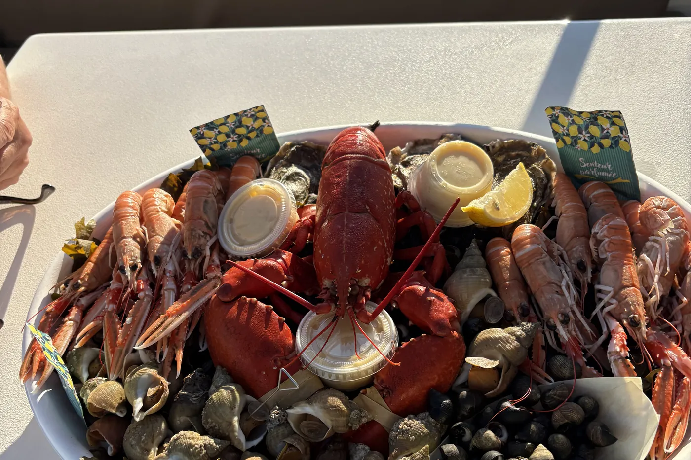 Plateau de fruits de mer servi à bord